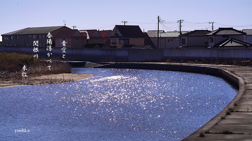 写真句：春のきらめき