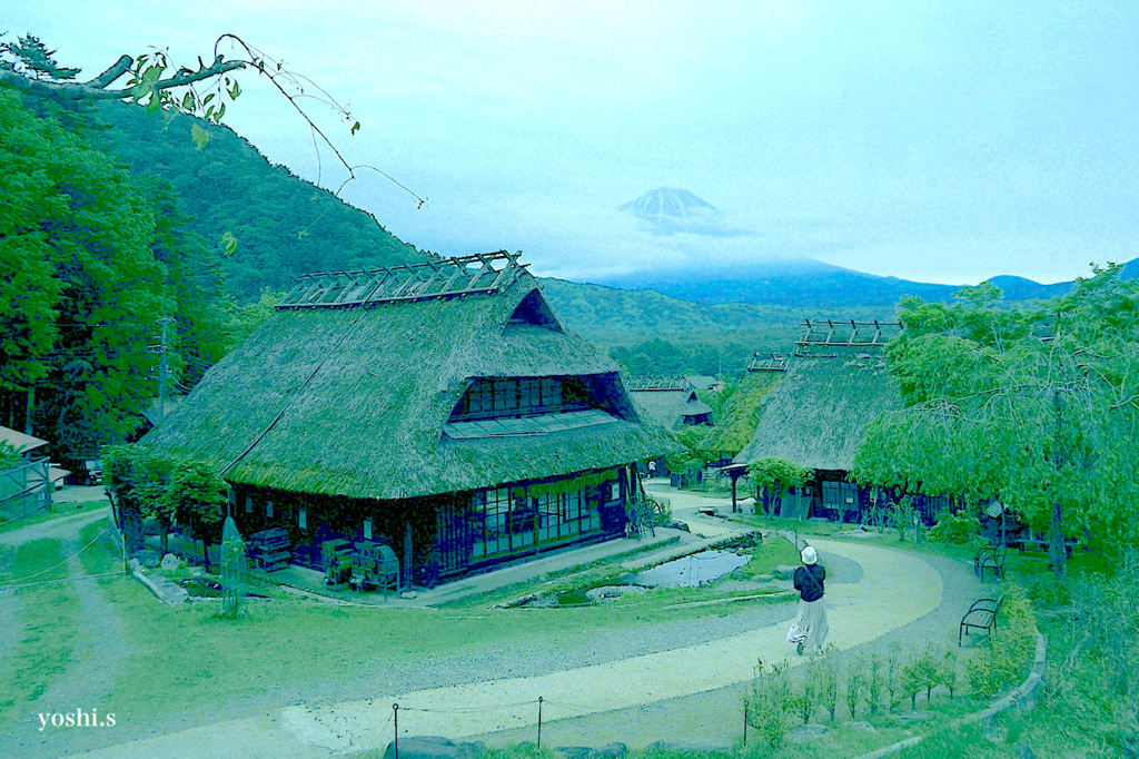写真エッセイ：冠雪の富士 Photo Trip22：根場11：幻想