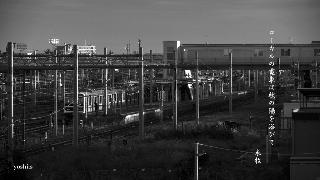 写真句：秋の思い出７：ローカル列車：B&W：NTW460
