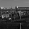 写真句：秋の思い出７：ローカル列車：B&W：NTW460
