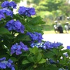 写真指編：ともだち