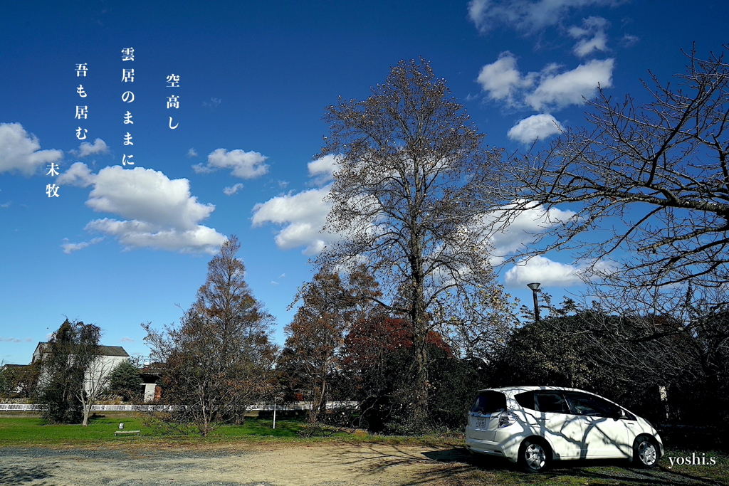写真句：雲居：NTW543
