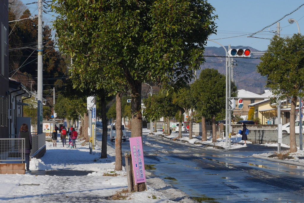 写真句：雪の朝１：NTW108