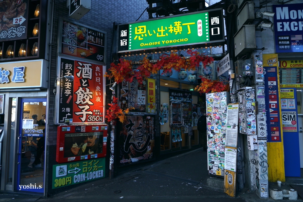 写真エッセイ：新宿３：思い出横丁２