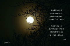 写真詩：写真和漢詩：満月