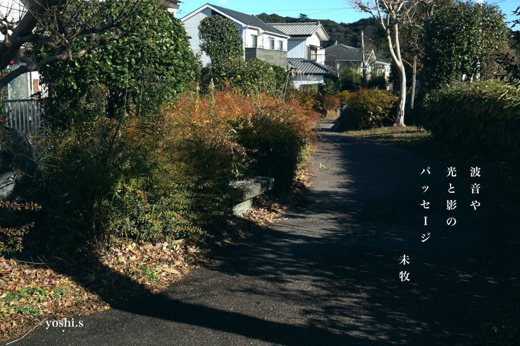 写真句：海に行く道
