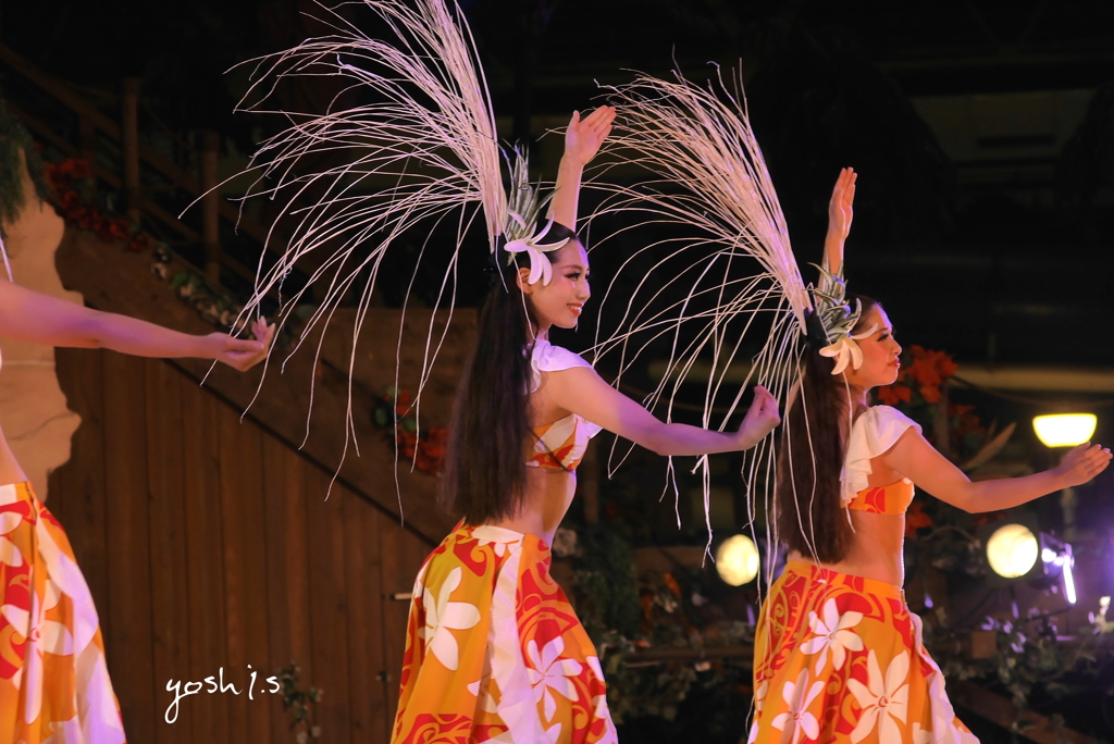 ハワイアンズ： Hula Girls 15