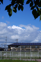 夏雲：写真句