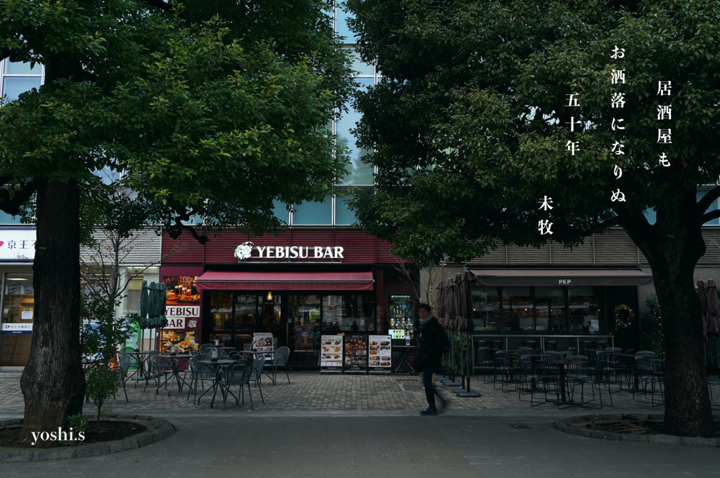写真句：YEBISU BAR