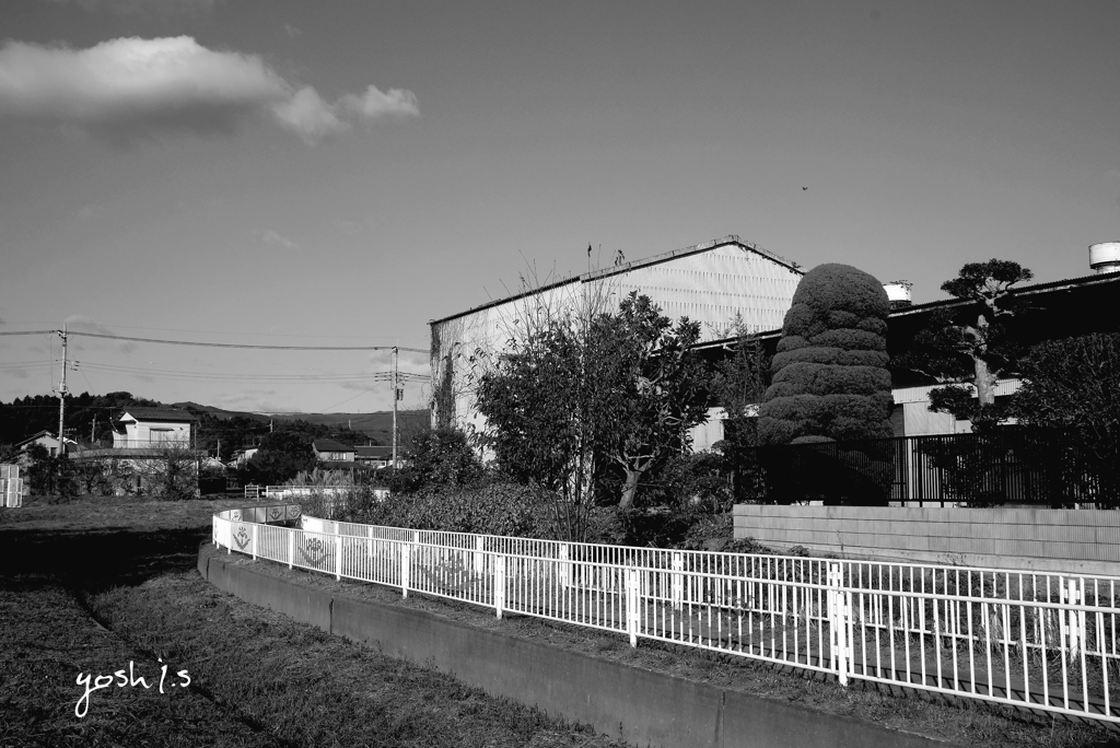 写真エッセイ：日曜の朝２：B&W24：NTW216