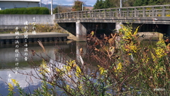 写真歌：そなれ橋