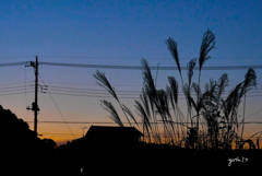 写真句：秋は夕暮れ