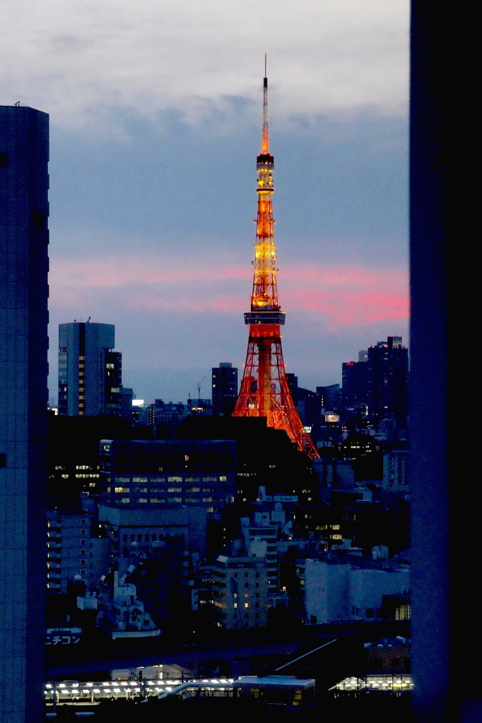 東京タワーに灯がともる