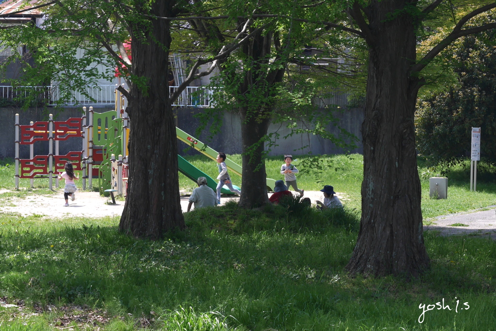 写真句：平和・公園の家族：NTW 127