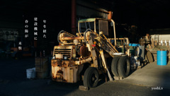 写真句：写真エッセイ：春の陽