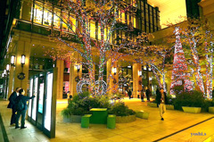 写真エッセイ：京橋２：京橋中央広場