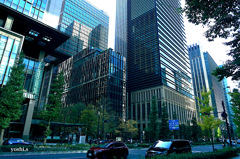 写真エッセイ：東京で１