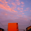 写真句：夕茜