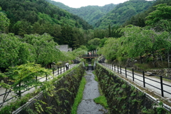 写真エッセイ：冠雪の富士 Photo Trip27：根場16：上流