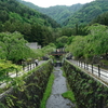 写真エッセイ：冠雪の富士 Photo Trip27：根場16：上流