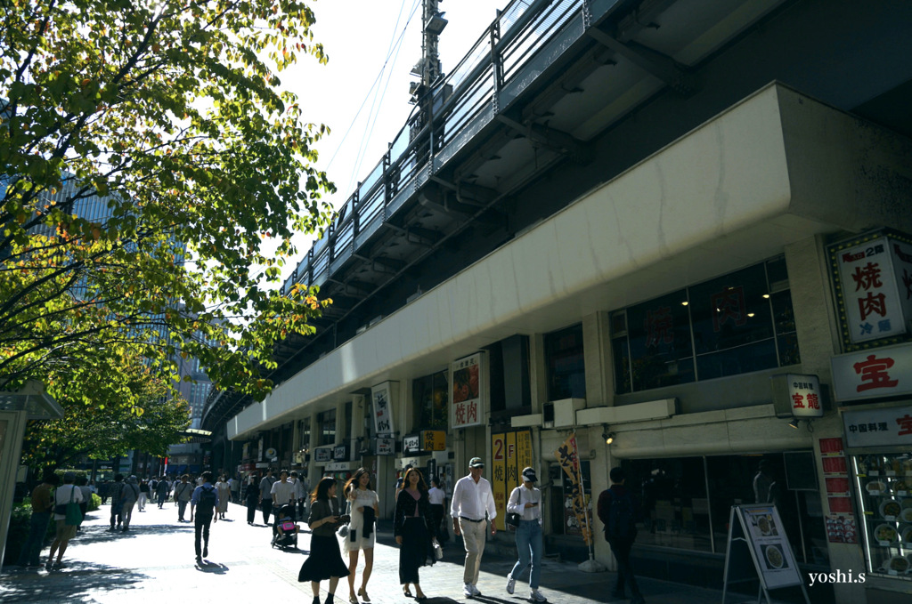 写真エッセイ：東京散歩８：ガード下の店５
