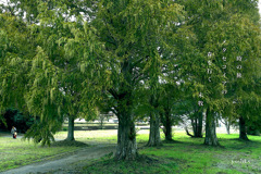 写真句：時の旅