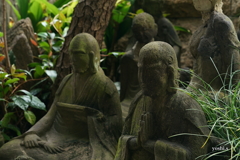 写真エッセイ：谷根千ウォーク４：谷中霊園３：合掌