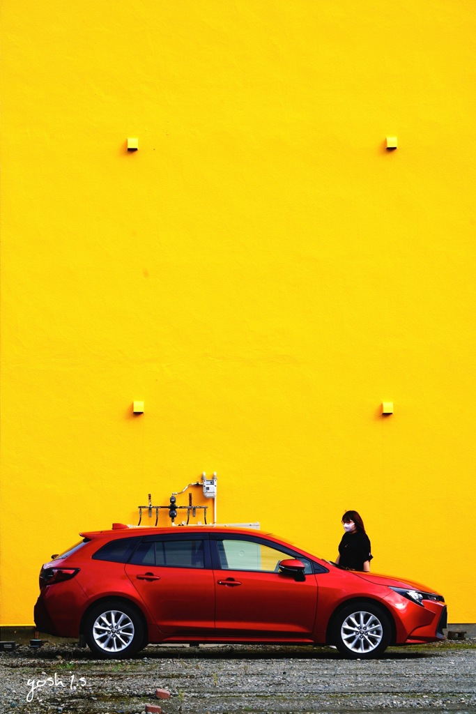 写真指編：Red in Yellow