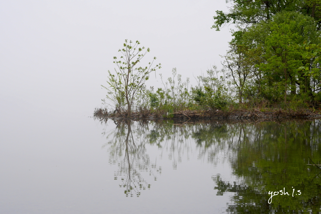 Cayuga Lake３