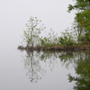 Cayuga Lake３