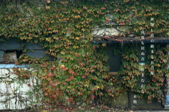 写真歌：蔦の家