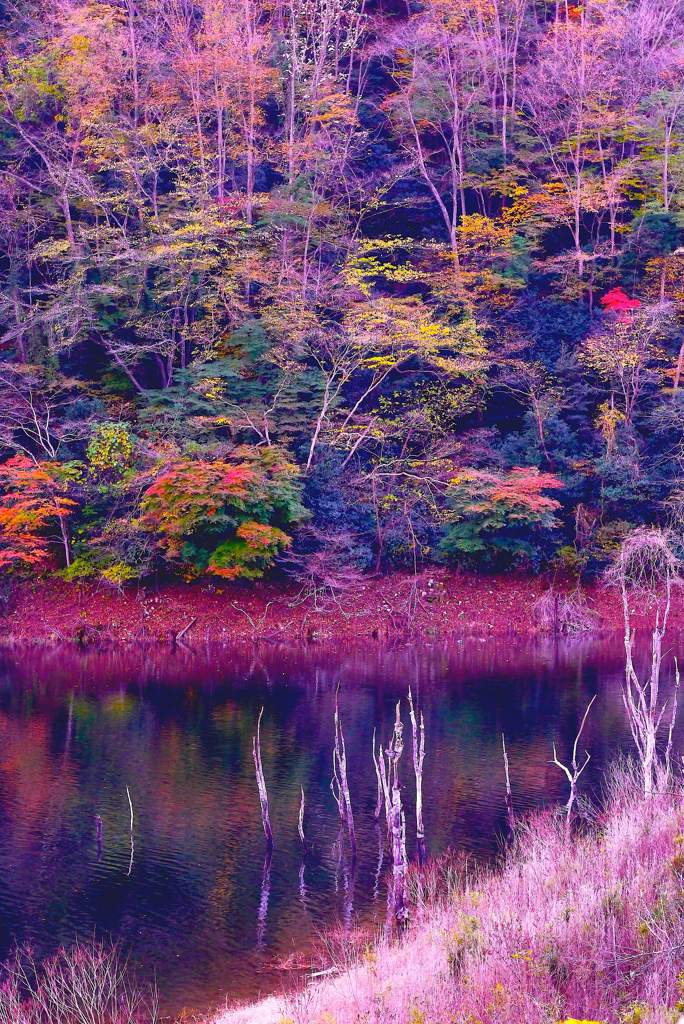 花貫紅葉４：写真句