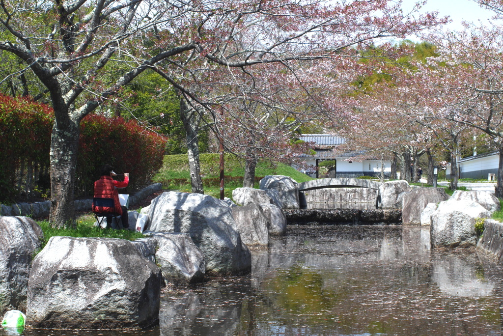 写真掌編：桜の下で 15：春を描く人（NTW65）
