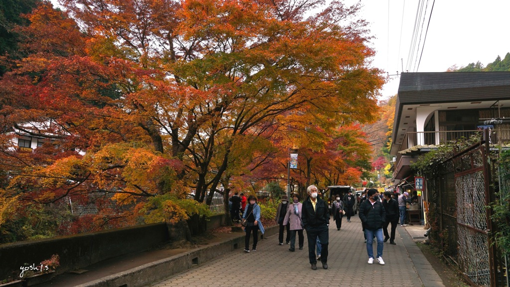 写真エッセイ：袋田の秋３：もう一つの楽しみ１