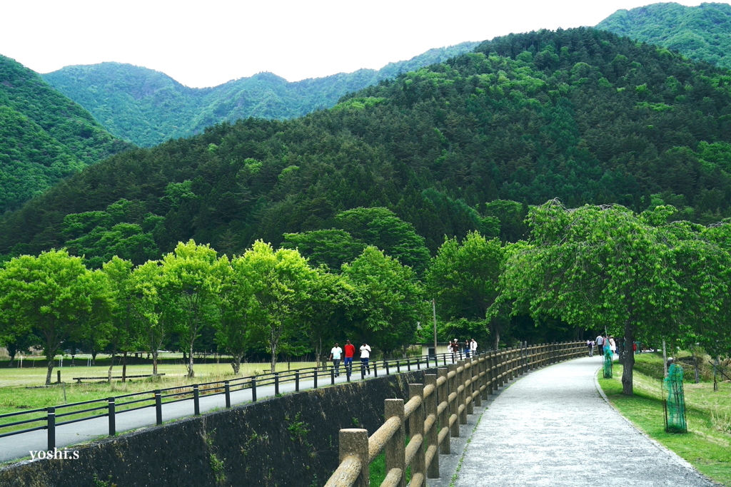 写真エッセイ：冠雪の富士 Photo Trip12：西湖いやしの里根場１