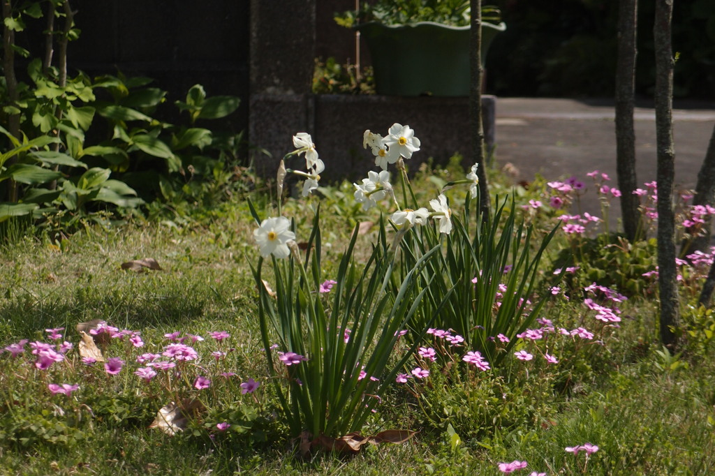 花のエントランス