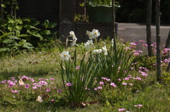 花のエントランス