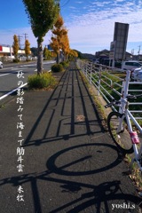 写真句：一直線の道３：NTW464