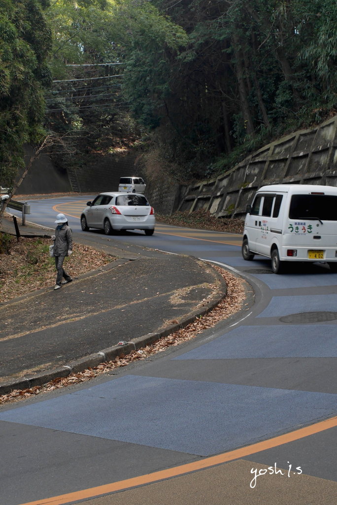 写真エッセイ：陸前浜街道19-5 南方面：びんずる坂５；NTW181
