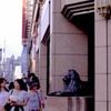 東京散歩Ⅳ：銀座３：ご存知、三越ライオン