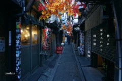 写真句：新宿５：思い出横丁４