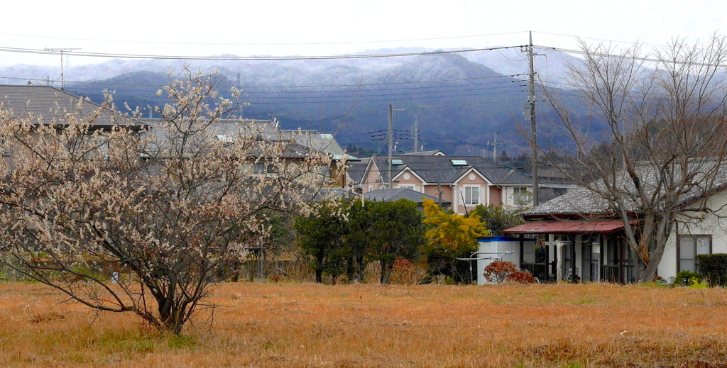 写真句：春の雪（Nostalgic Town Walk50）
