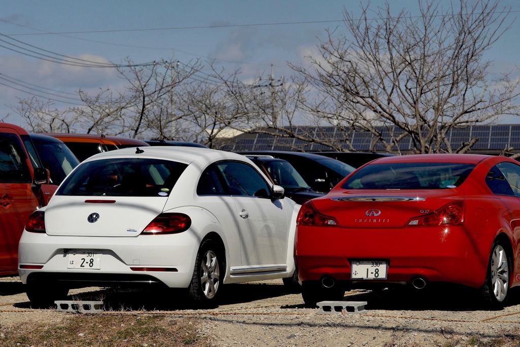 写真エッセイ：Nice Rears！