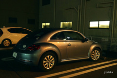 写真エッセイ：The Beetle