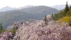 遥かなる山の呼び声