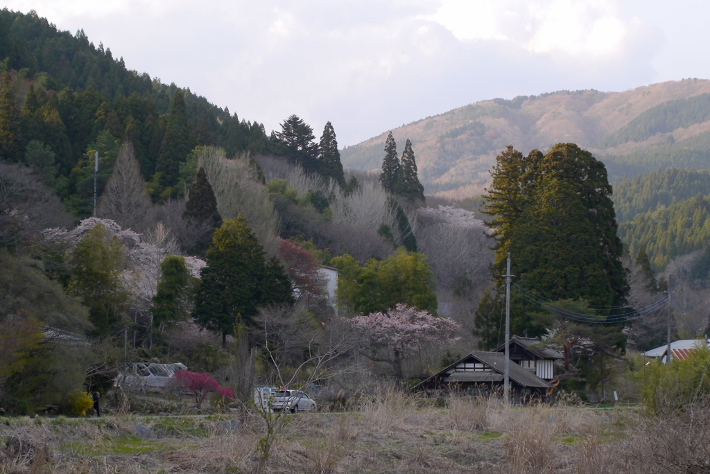 山里の風景