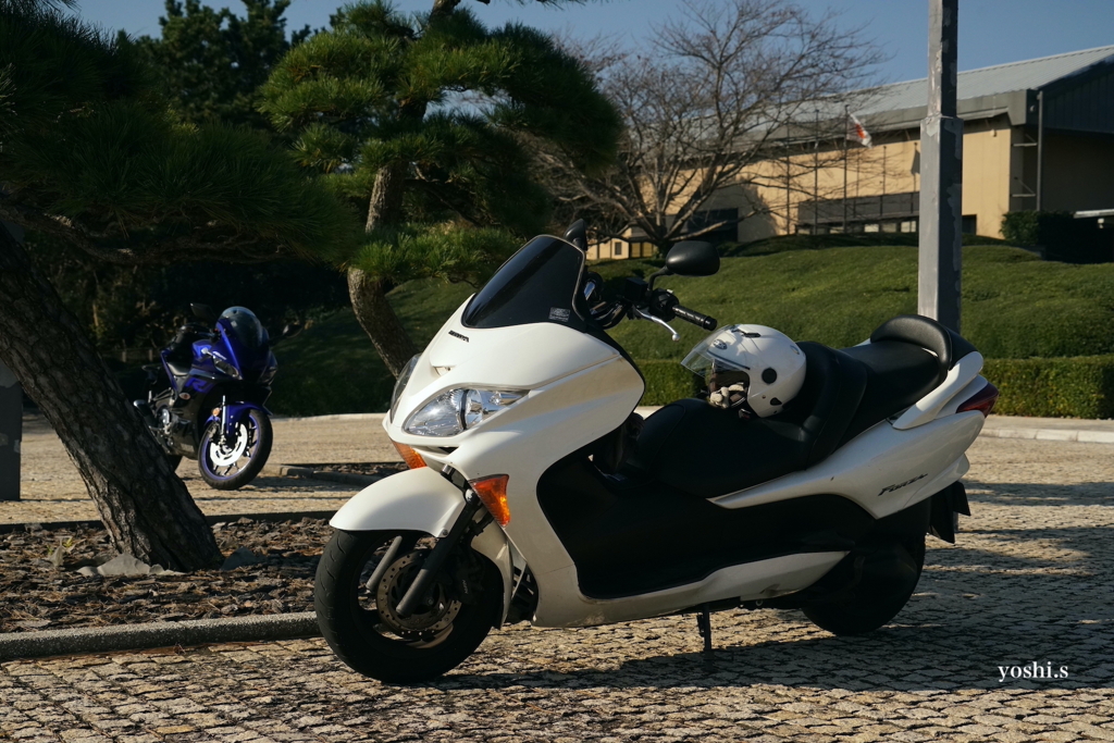 写真エッセイ：五浦１：２台のバイク