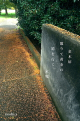 写真句:黄金の道 写真句:黄金の道
