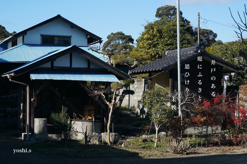 写真句：井戸のある庭
