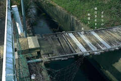 写真句：手作り橋２：行き止まり